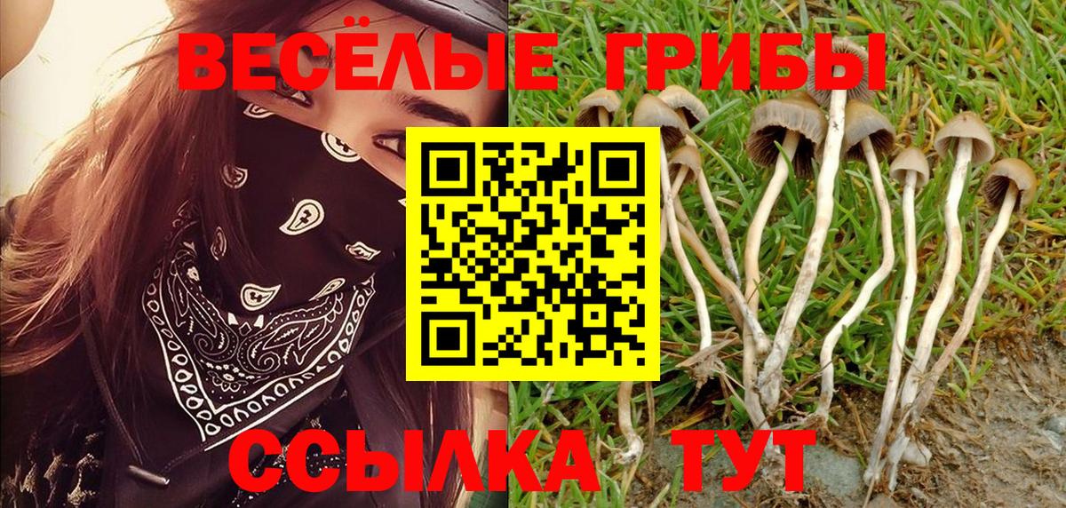 Сергиев Посад  Псилоцибиновые грибы Magic Shrooms  Вход с VPN  Галлюциногенные грибы Psilocybine cubensis 